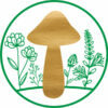 glückspilz Blumen Logo